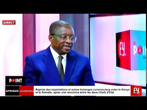 LA PRATIQUE DE LA GOURVERNANCE AU CAMEROUN : ENTRE DESETATISATION ET DEMOCRATISATION