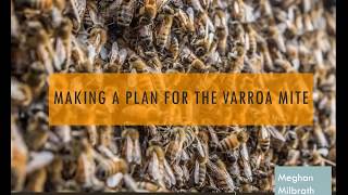 Making A Plan for the Varroa Mite