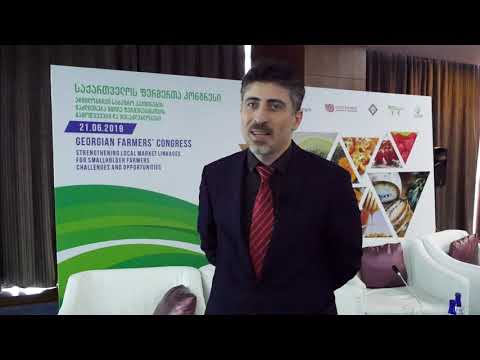 წარმატების ტერიტორია ბიზნესში