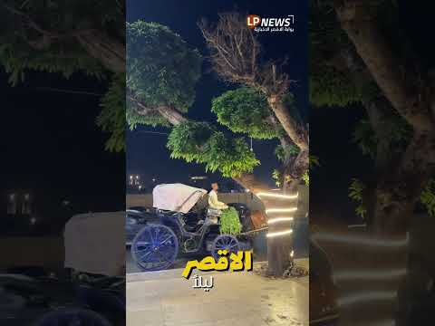 هنا الأقصر سحر التاريخ وجمال الحاضر أرض الفراعنة