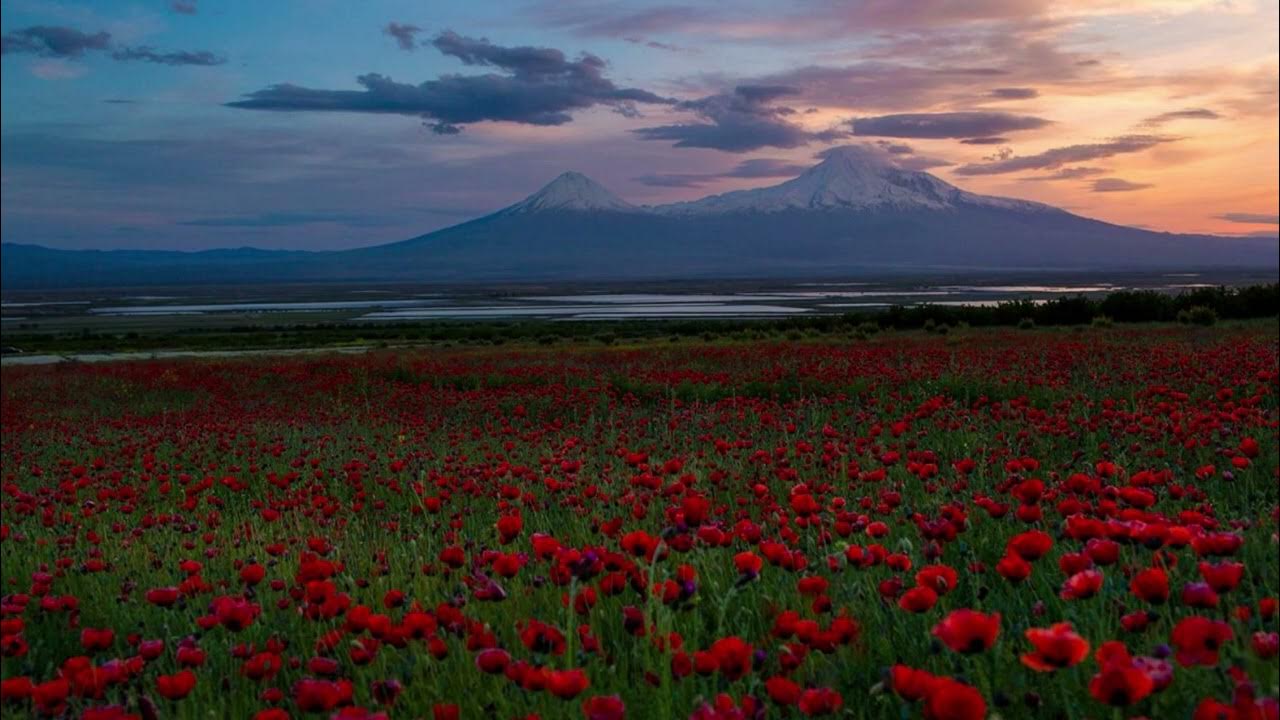 Sharan 6/8 Haykakan bomb sharan, YouTube