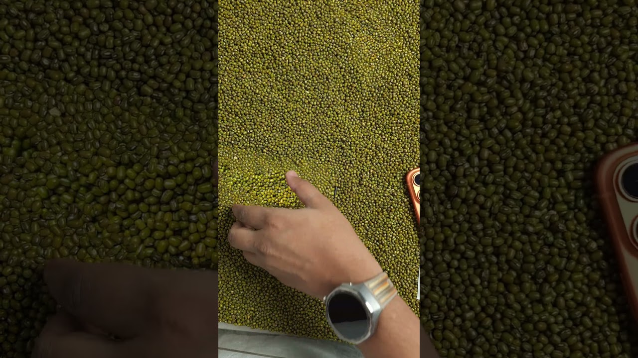 Configuration Error - YouTube Auto PHP Script