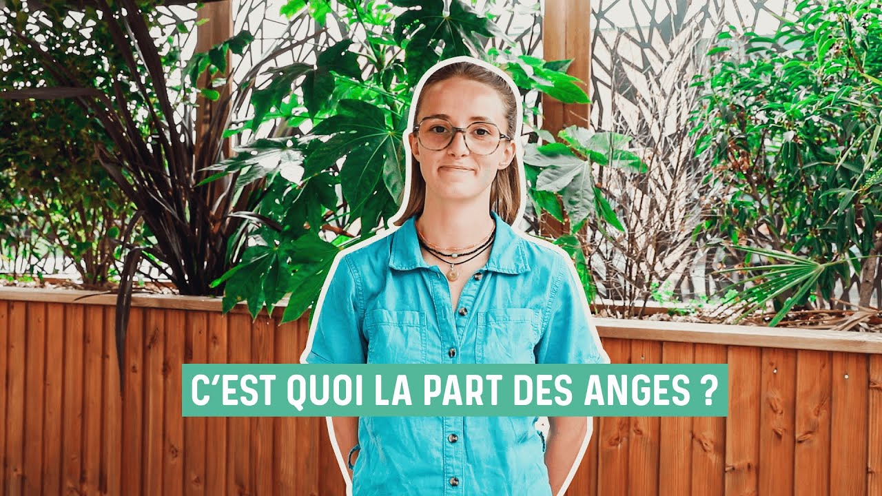Qu'est-ce que "la part des anges" ? - YouTube