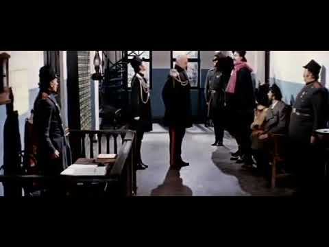 ვივა პროტესტო