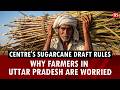 Why Centre's sugarcane draft rules are roiling farmers in Uttar Pradesh