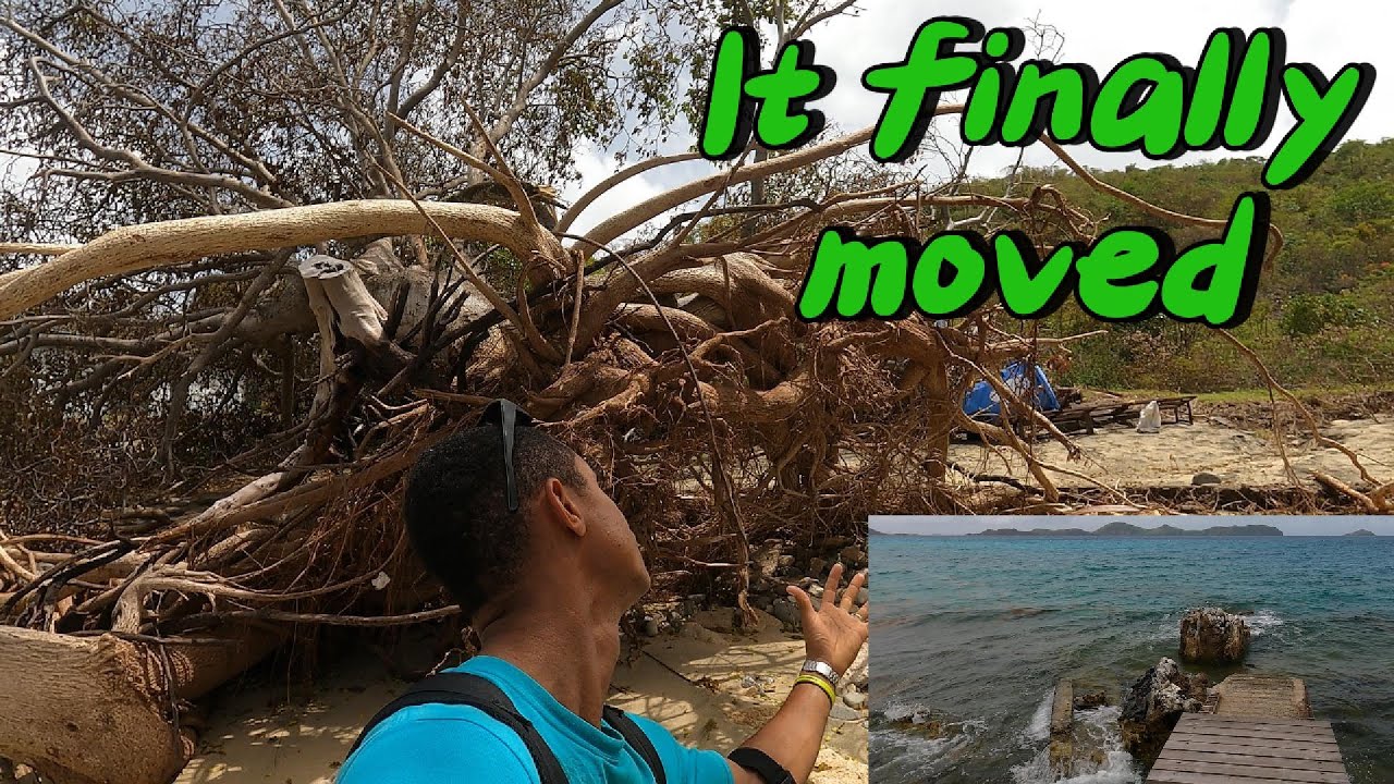 Hurricane Beryl badly destroyed the Beach on Bequia - YouTube