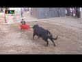 Toro Fiestas en Mascarell 27/08/2013 (Nules - Castellon) Bous al Carrer [Toros FJGNtv]