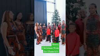 Billionaire Tony Elumelu and his beautiful family christmasfamily naijagistshorts