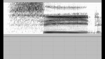 Tasko Speech Lab: Measuring formants with TF32