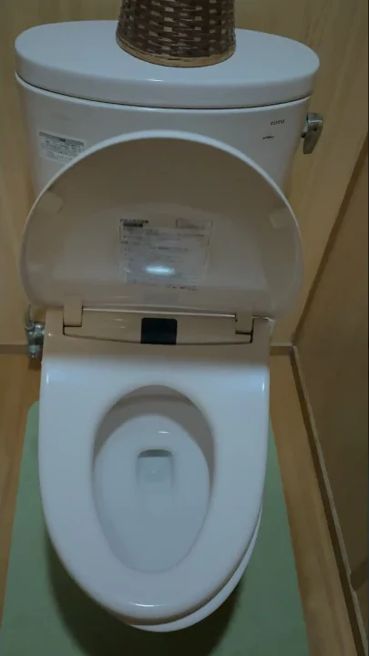 Japanese toilets are something else 😮‍💨 Barely even started the video and they do THIS… #japan