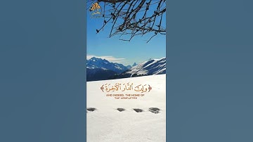 قرآن كريم | ما تيسر من سورة العنكبوت | تلاوة خاشعة ومؤثرة بصوت الشيخ القارئ ياسر الدوسري
