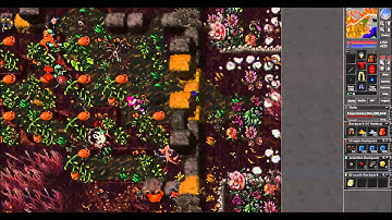 [iBot] Hardcore Bugs by BugWT