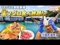 【和歌山】TAOYA那智勝浦が凄すぎた！生マグロ食べ放題の贅沢温泉宿｜2026最新