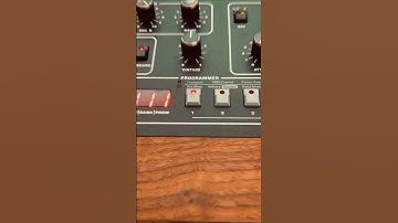 Wavewakermusic providing the Prophet 5 vibes ❤️