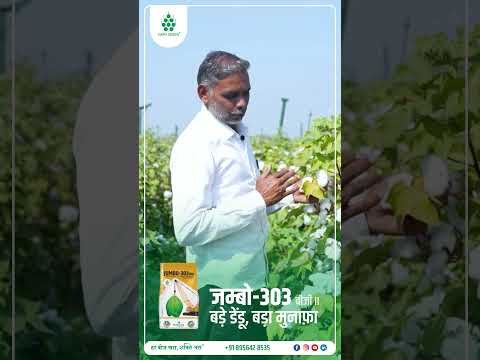 नाथ संकेतची दमदार साथ | डेंडूची भरमार आणि मजबूत पीक