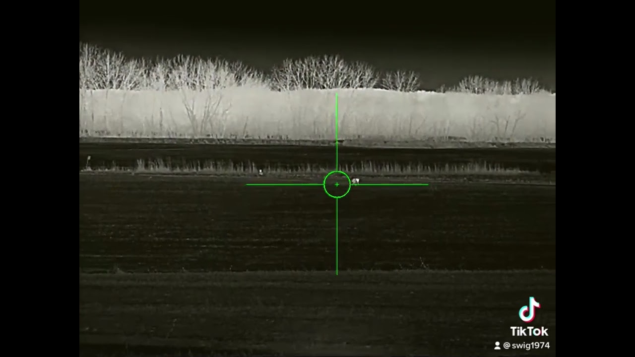 Iray Rico mk1 640 50mm