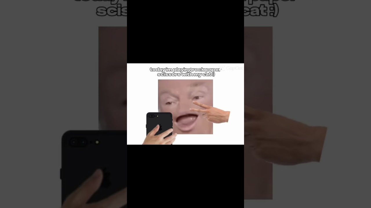 Rock paper scissors with alien cat