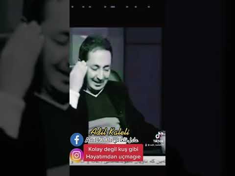 قولاي داگيل قوش كيمن حياتمدان اوچماغيو عادل قلعالي  