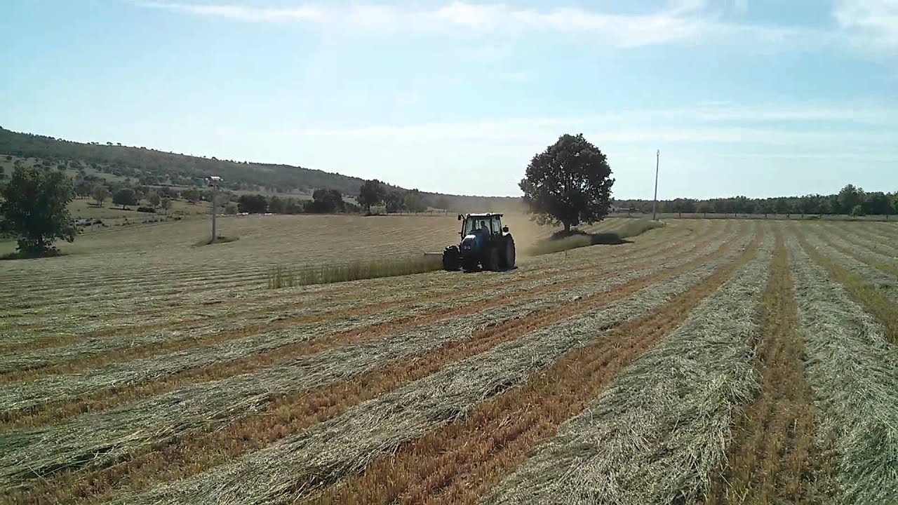 segando-el-forraje-de-avena-y-veza-youtube