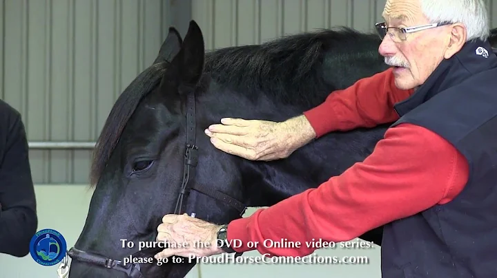 Case Study #5: Ty - Equine Wellness 2013 with Dr. ...