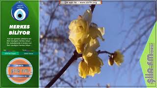 Herkes Bi̇li̇yor Yorum - Melek Kartal Şiir Fm De Kadim Dostlar - Zekeriya Taşgın Resimi