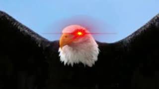 American Eagle screech (RAHHHHH🦅) tiktok sound effect (earrape)