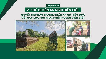 Quyết liệt đấu tranh, trấn áp có hiệu quả với các loại tội phạm trên tuyến biên giới | TayNinhTV