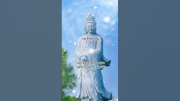 Lời Phạt dạy: Tâm bình thản trước nghịch cảnh cuộc đời #loiphatday