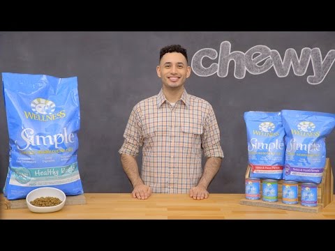 Wellness Simple Dog Food | Chewy