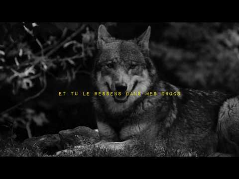 KLEM - Note 2 : Désolé (feat. Shaza) (Visualizer)