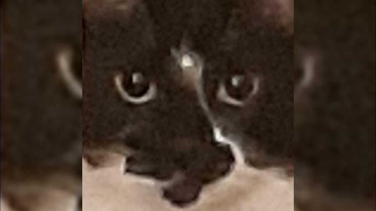 Built help. 12. Minecraft 1. Built help. 5.