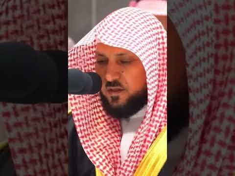 قال إن تسخروا منا فإنا نسخر منكم كما تسخرون ماهر المعيقلي