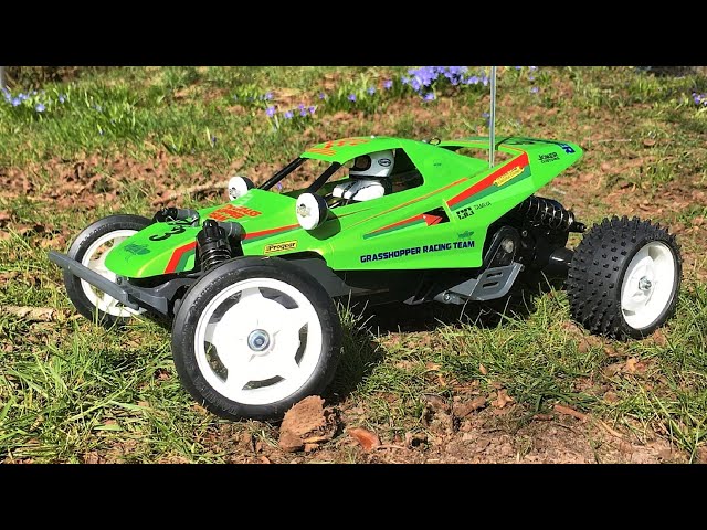 Tamiya DT-01 'Grasshopper III' (Mad Bull) RC Car Buggy