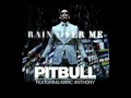 Pitbull