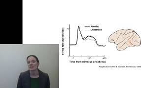 4.4 Attention changes neural activity