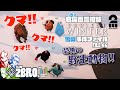 【雪山事件ファイル:恐怖の野生動物】2BRO.+1,三人称+1の名(迷?)場面濃縮版「PROJECT WINTER」FILE.4/6【2BRO.】