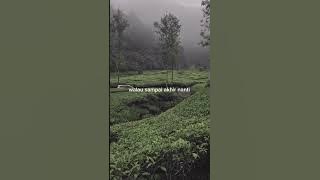 Lagu galau terbaik thn 2000an #srorywa30detik #storywa #sadmusic #storywalagu #galaubrutal