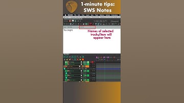 1-min REAPER Tips: Taking Notes with SWS | #shorts