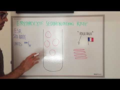 Erythrocyte Sedimentation Rate: Explained