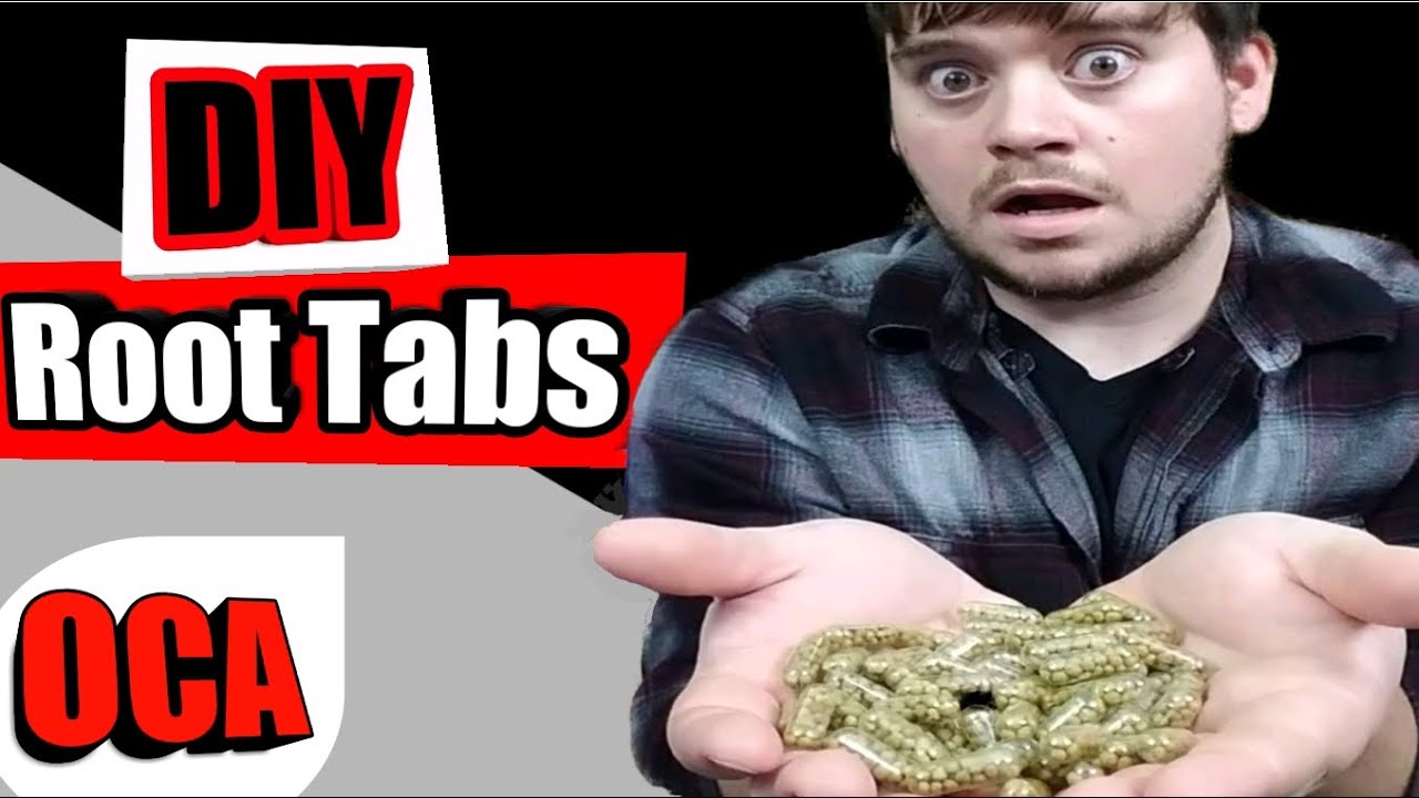 How to Make DIY "ROOT TABS" for Your Aquarium YouTube