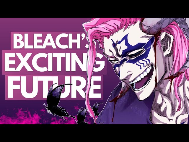 Absolutely EVERYTHING NEW (I Think) That We Learned in the HELL CHAPTER | Bleach Discussion class=