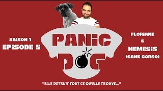 Esprit Dog : PANIC DOG  S1 EP5  CANE CORSO DESTRUCTEUR