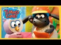 Timmy the Postman | New Timmy Time