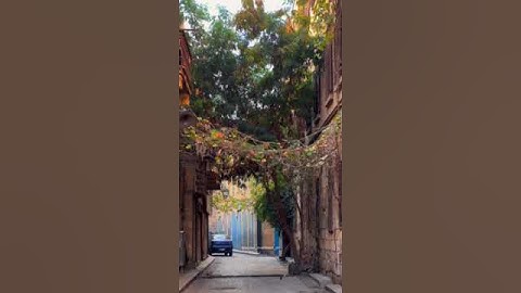 أَفسحوا لـِ سورة الكهف وقتاً في يومكم .. فـ هي نورٌ مابين الجمعتين .♡