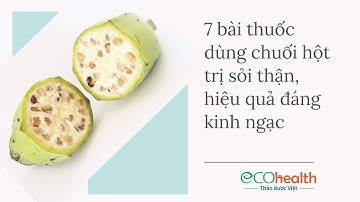 7 bài thuốc dùng chuối hột trị sỏi thận, hiệu quả đáng kinh ngạc