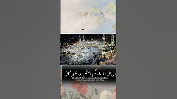 " سورة يوسف " سميت بأحسن القصص لأنها السورة الوحيدة التي بدأت بحلم وانتهت بتحقيق هذا الحلم