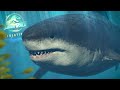 MEGALODON FIRST LOOK!!! - Jurassic World Park Creators DLC