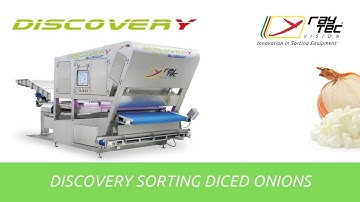Discovery sorting machine for diced onions | RAYTEC VISION SpA