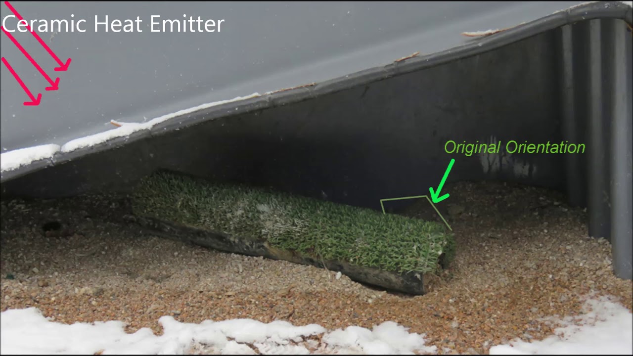 Vulture Intelligence