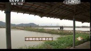 20150114 致富经 该赚的钱不赚后